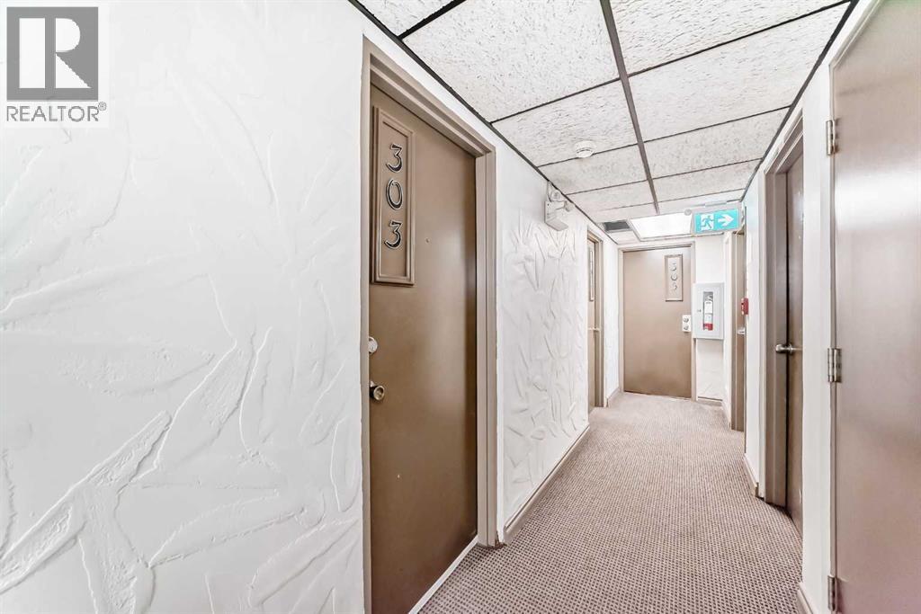 303, 319 2 Avenue, Strathmore, Alberta T1P 1T7 - Photo 28 - A2285599