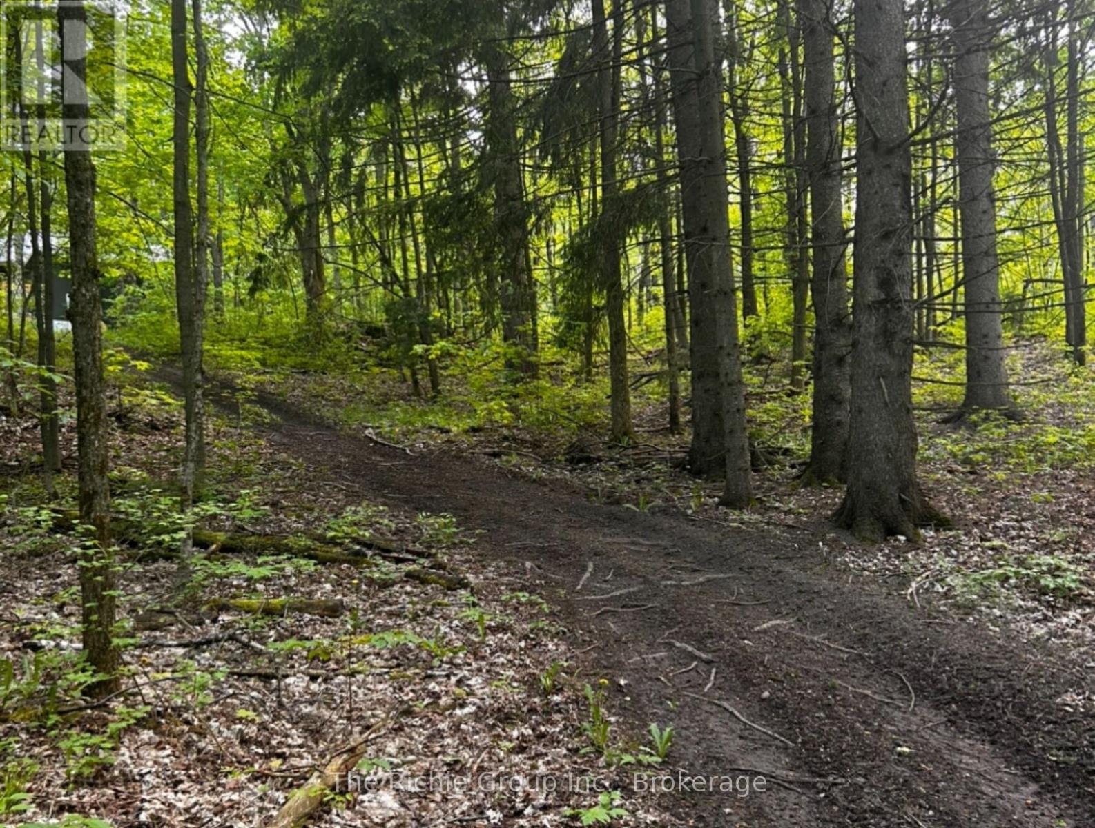 427223 Twenty-Fifth  R.r. 4 Side Road, Mono, Ontario  L9V 1E6 - Photo 30 - X12821324