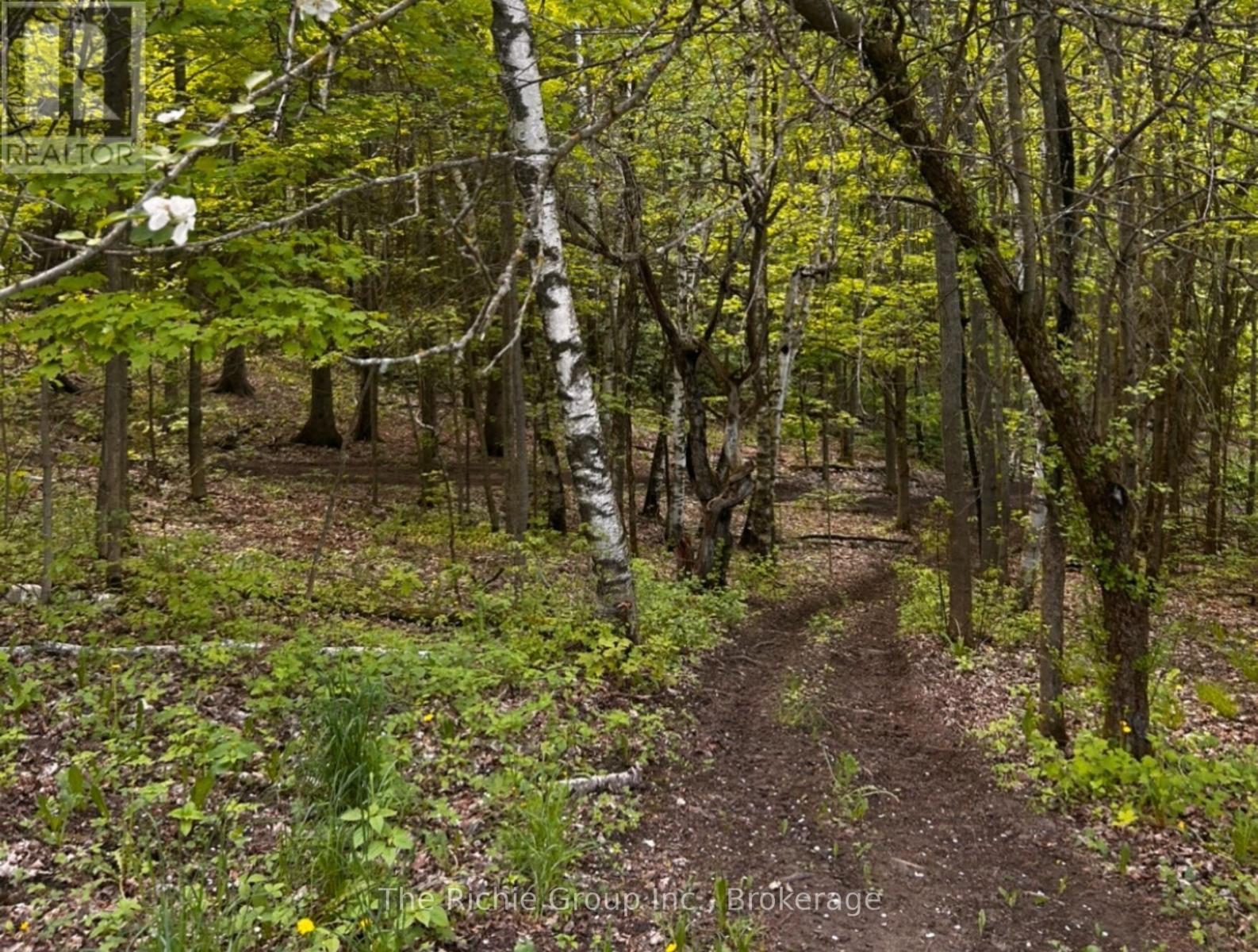 427223 Twenty-Fifth  R.r. 4 Side Road, Mono, Ontario  L9V 1E6 - Photo 35 - X12821324