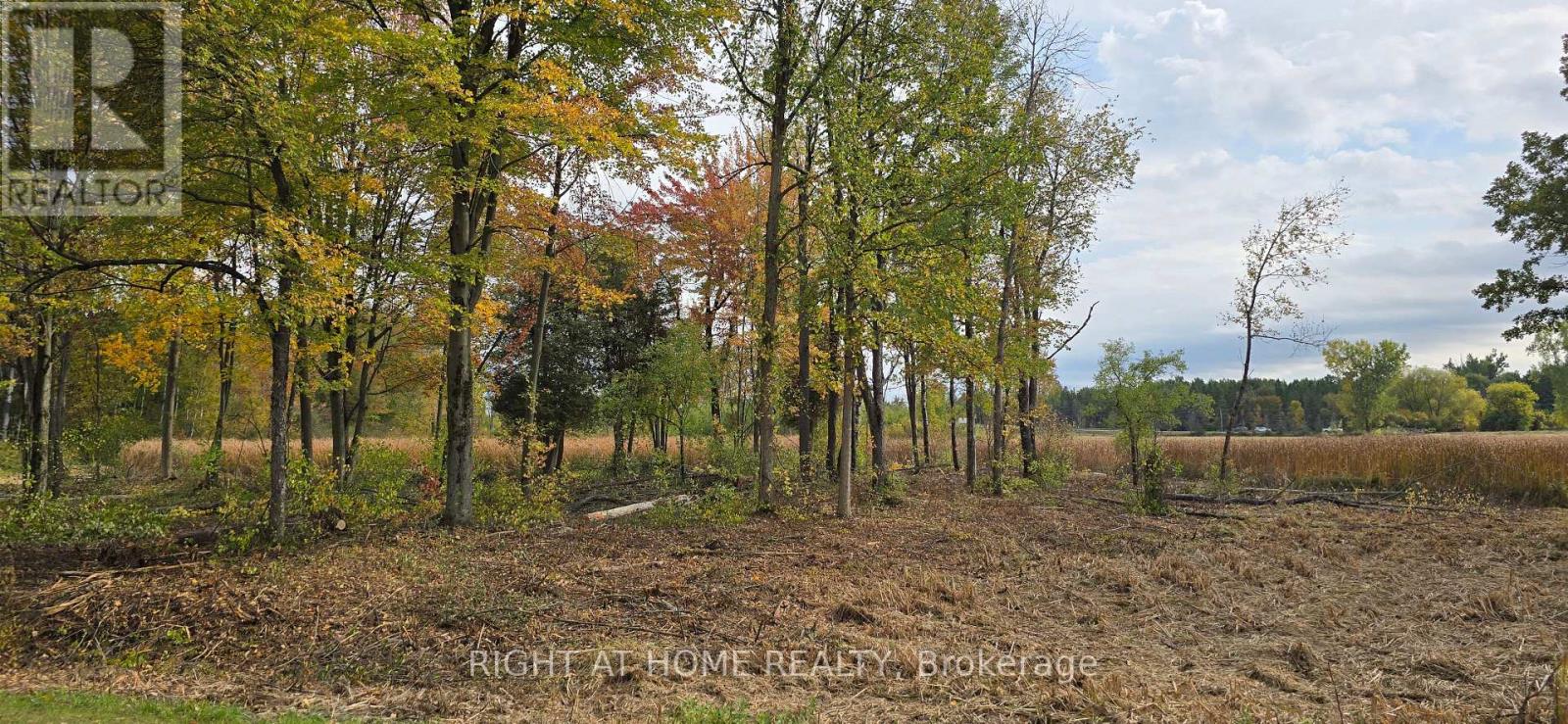 0 Sutherland Drive, Ottawa, Ontario K4M 1B3 - Photo 14 - X12822826