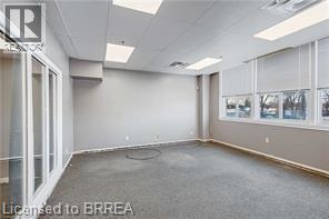 148 Mohawk Street, Brantford, Ontario  N3S 7G5 - Photo 49 - 40807002