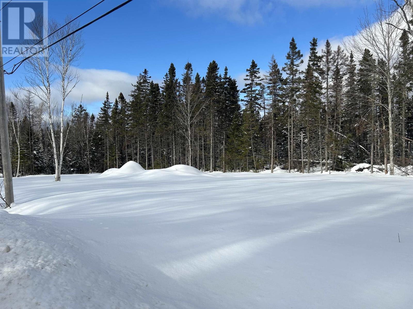 0 Meadows Road, Sydney Forks, Nova Scotia  B1L 1A1 - Photo 3 - 202603422