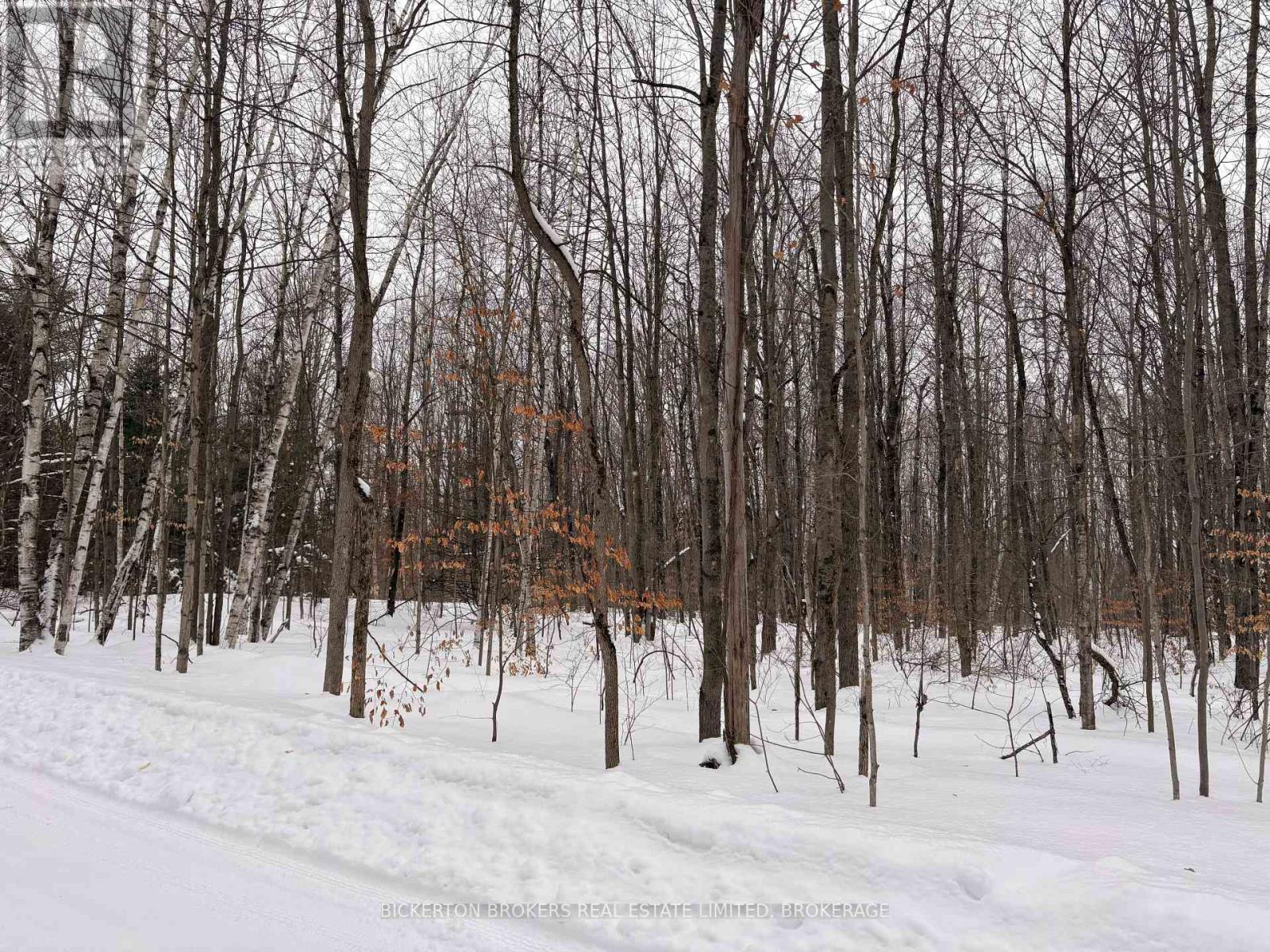 49 Cedar Sands Road, Rideau Lakes, Ontario  K0E 1N0 - Photo 4 - X12823028