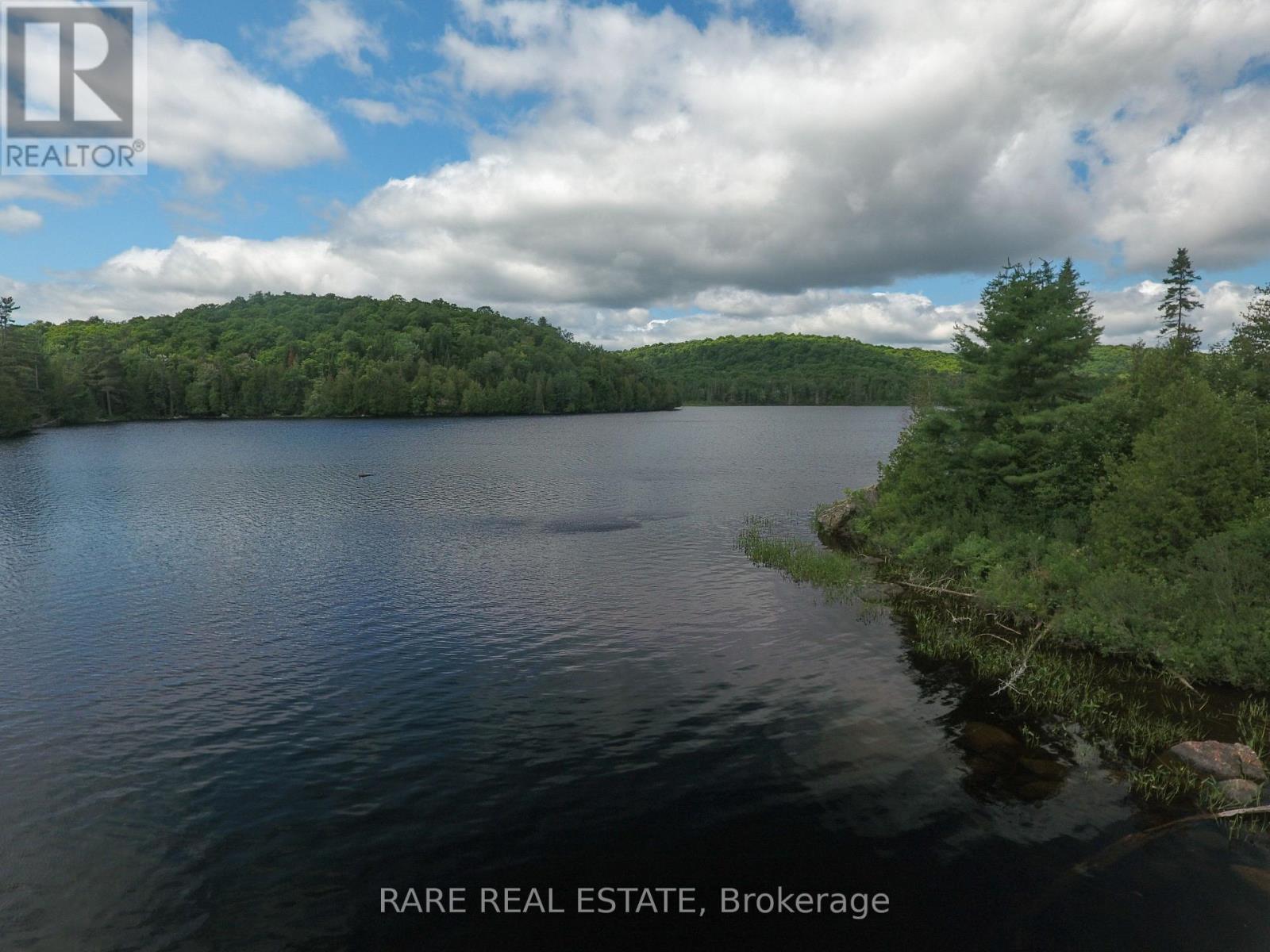 139d Petit Lane, Kearney, Ontario  P0A 1M0 - Photo 45 - X12819914