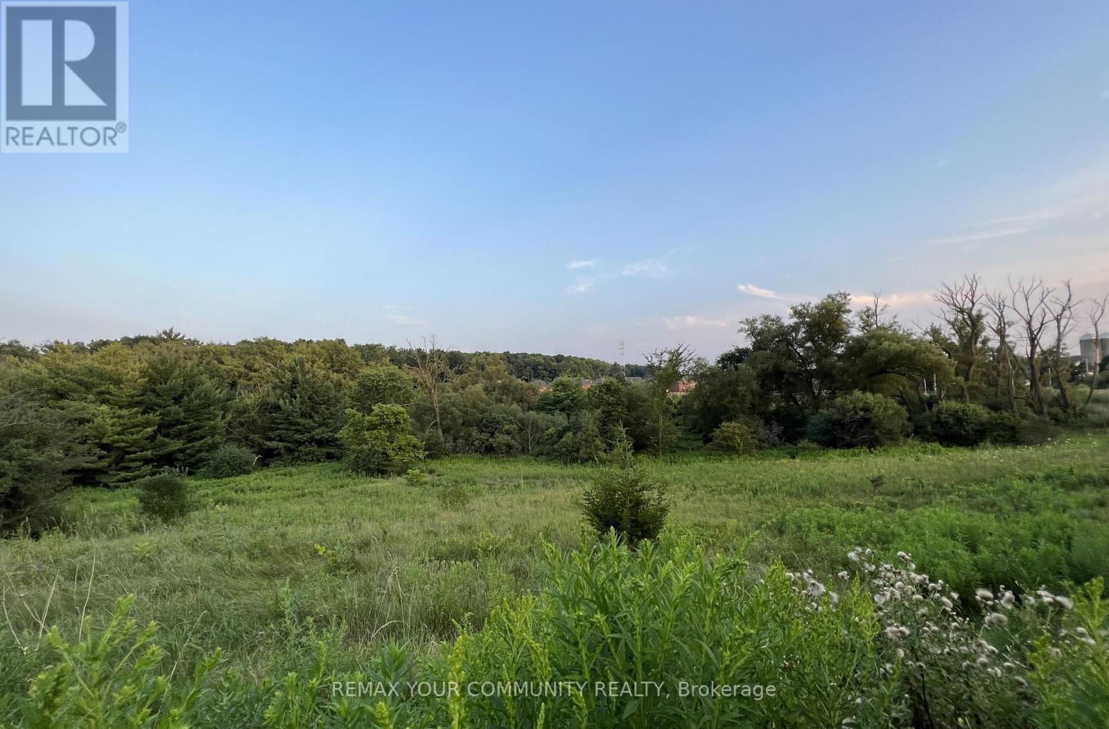 Lower - 517 Clifford Perry Place, Newmarket (Woodland Hill), Ontario  L3X 0J1 - Photo 21 - N12822984