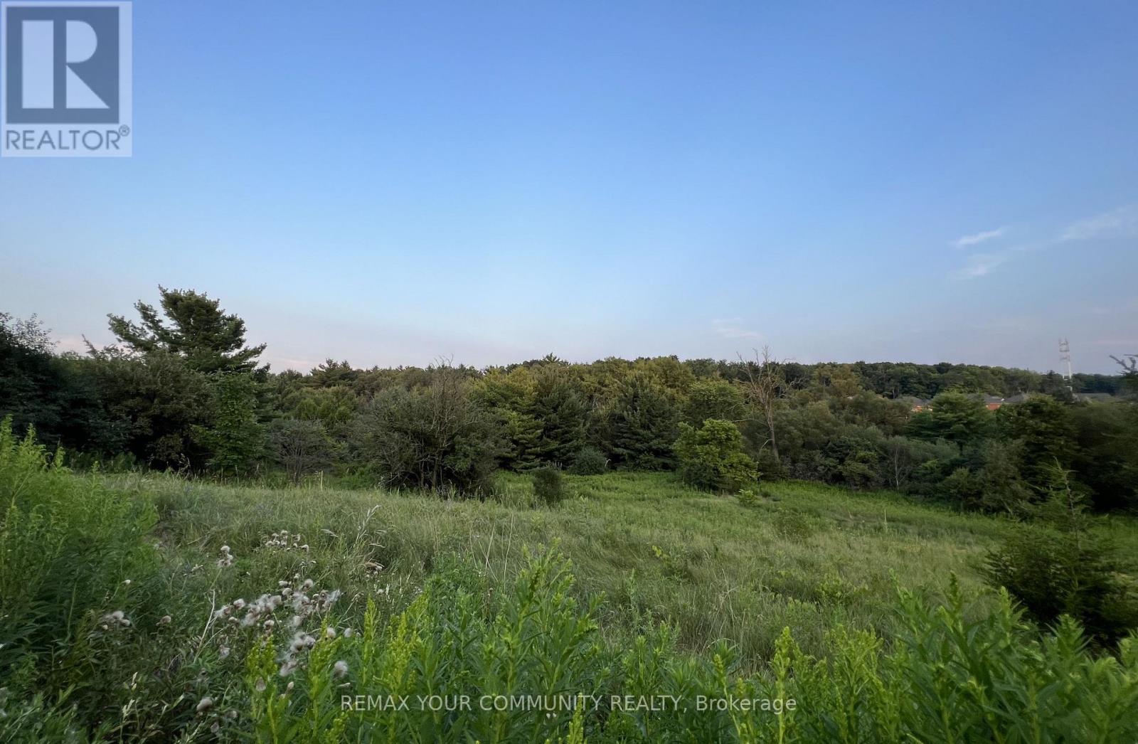 Lower - 517 Clifford Perry Place, Newmarket (Woodland Hill), Ontario  L3X 0J1 - Photo 22 - N12822984