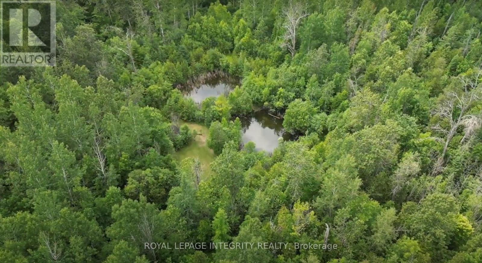 3377 Paden Road, Ottawa, Ontario  K0A 2T0 - Photo 46 - X12479635