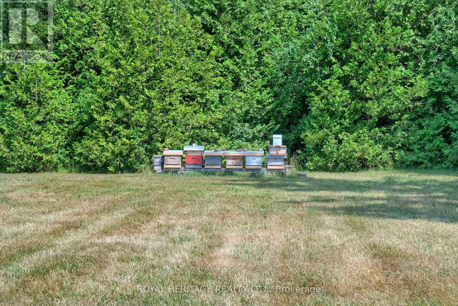 638 County 28 Road, Cavan Monaghan, Ontario  L0A 1G0 - Photo 27 - X12341880