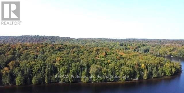 1448-1 West Oxbow Lake Road, Lake Of Bays, Ontario  P1H 2J6 - Photo 10 - X12823298