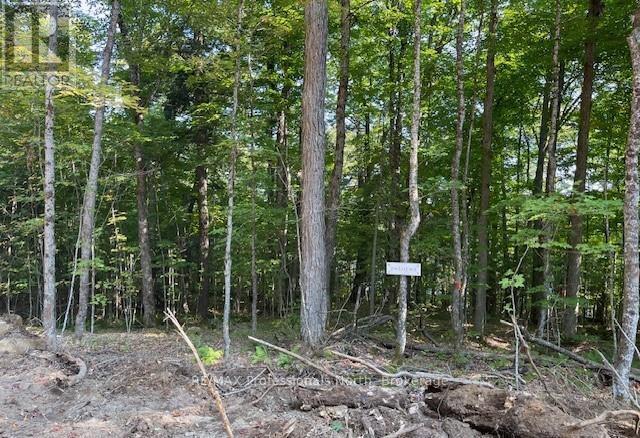 1448-1 West Oxbow Lake Road, Lake Of Bays, Ontario  P1H 2J6 - Photo 5 - X12823298