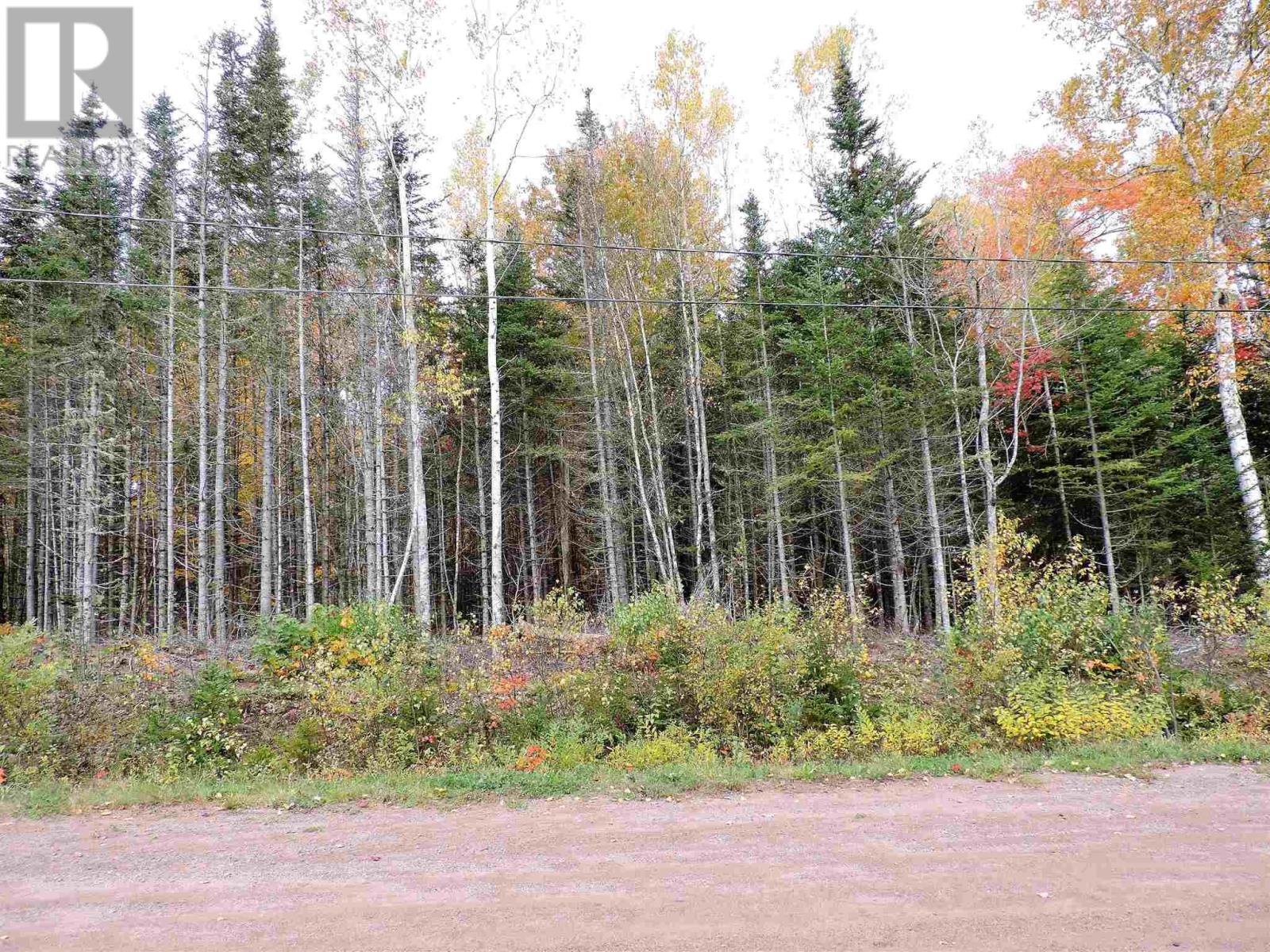 80-2 Carroll Crescent, Brookdale, Nova Scotia B4H 3Y1 - Photo 5 - 202515264