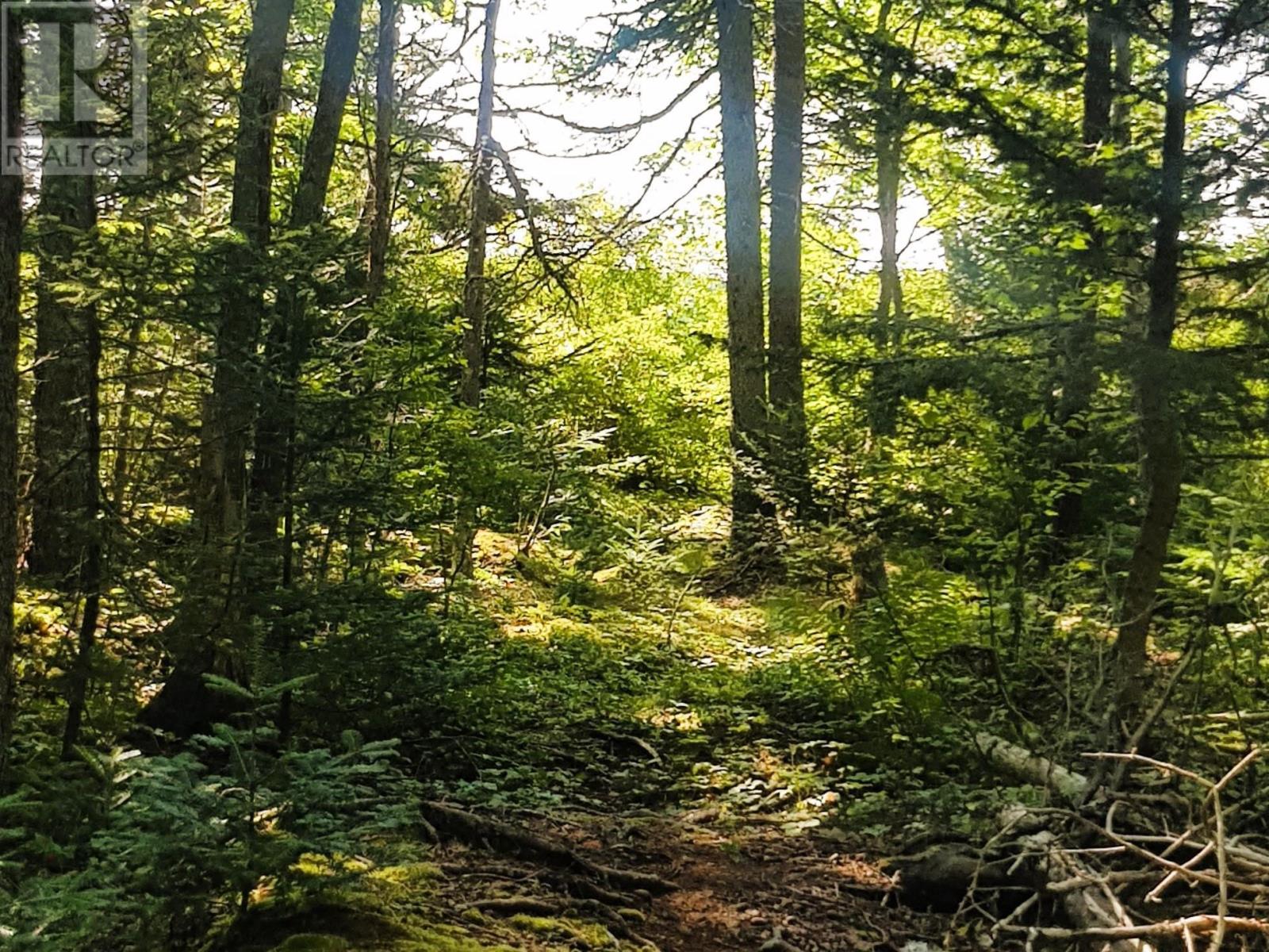 Lot Middle Road, Fort Lawrence, Nova Scotia  B4H 3Y5 - Photo 24 - 202522400