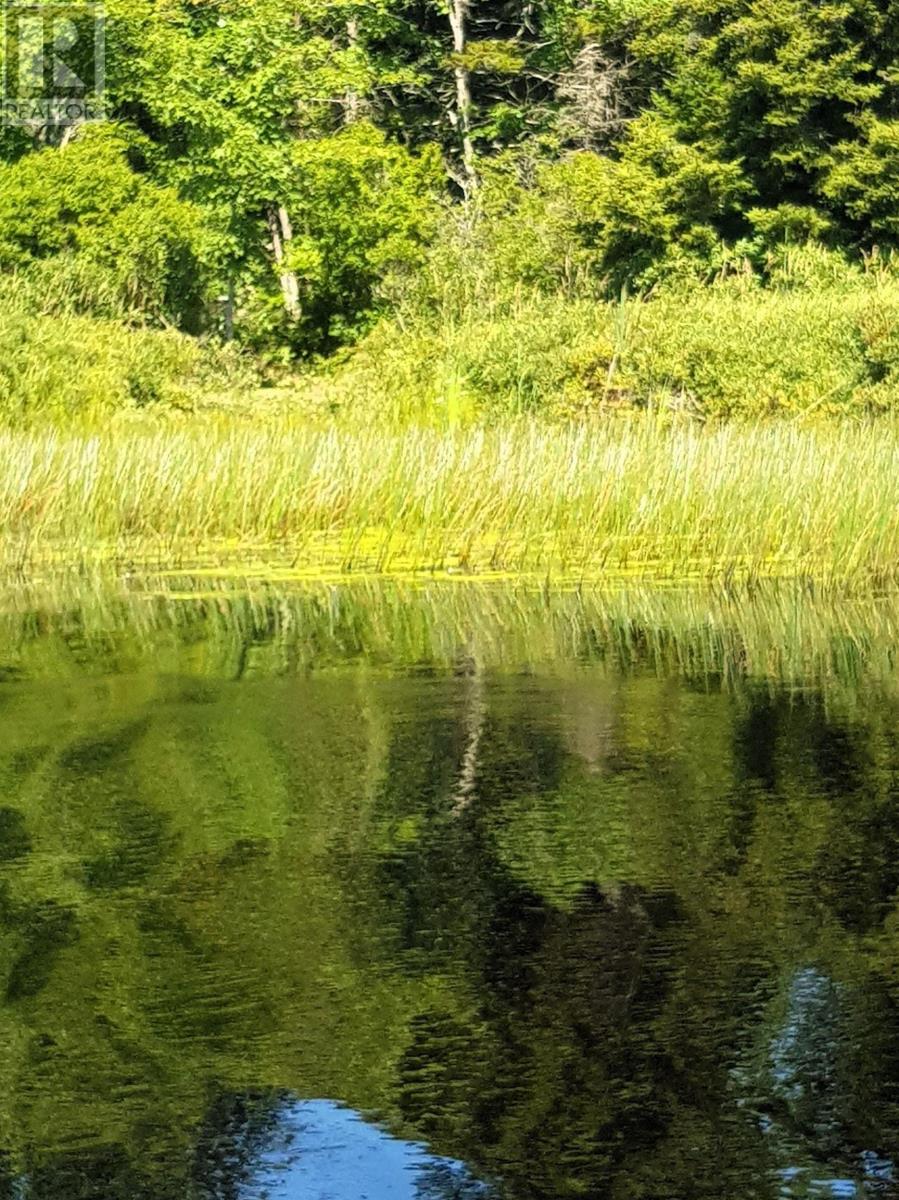 Lot Middle Road, Fort Lawrence, Nova Scotia  B4H 3Y5 - Photo 21 - 202522400