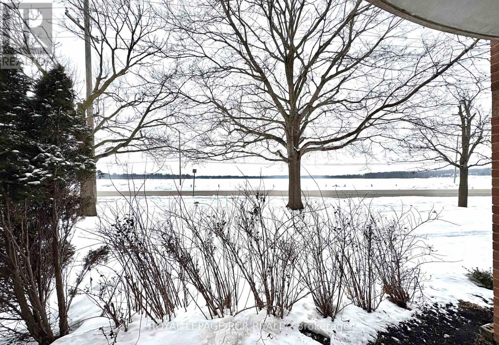 115 - 247 King Street N, New Tecumseth, Ontario  L9R 1N4 - Photo 29 - N12823274