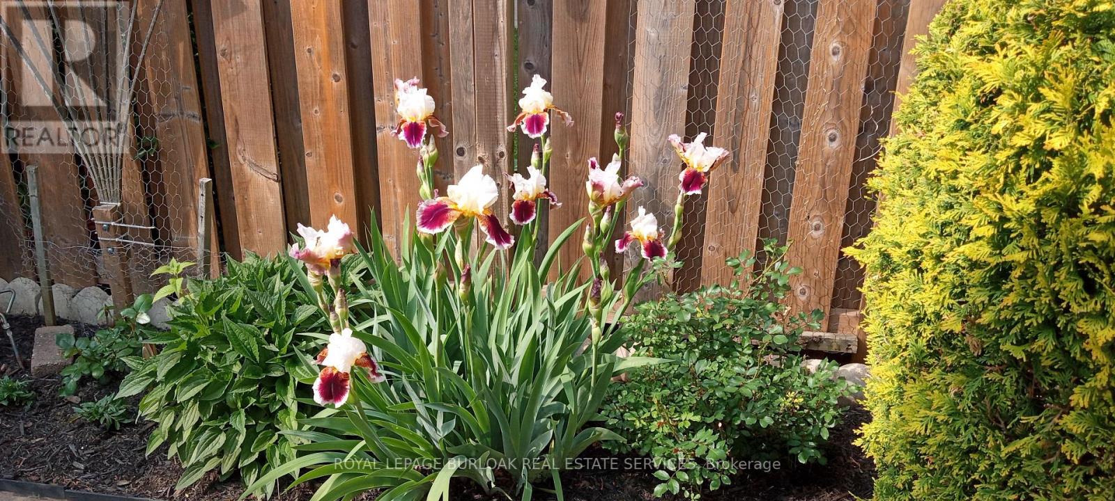 20 Twentyplace Boulevard, Hamilton, Ontario  L0R 1W0 - Photo 46 - X12823260