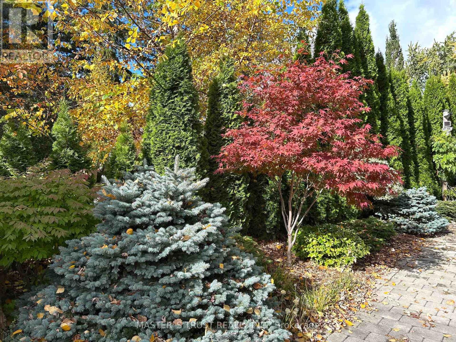 88 Elgin Street, Markham, Ontario  L3T 1W6 - Photo 41 - N12823406