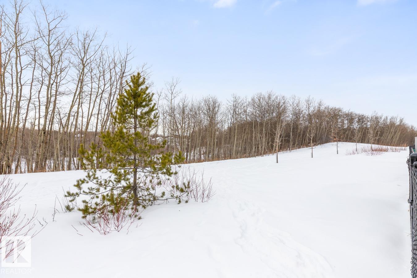 94 Horton Wy, Ardrossan, Alberta  T8E 0B2 - Photo 41 - E4474955