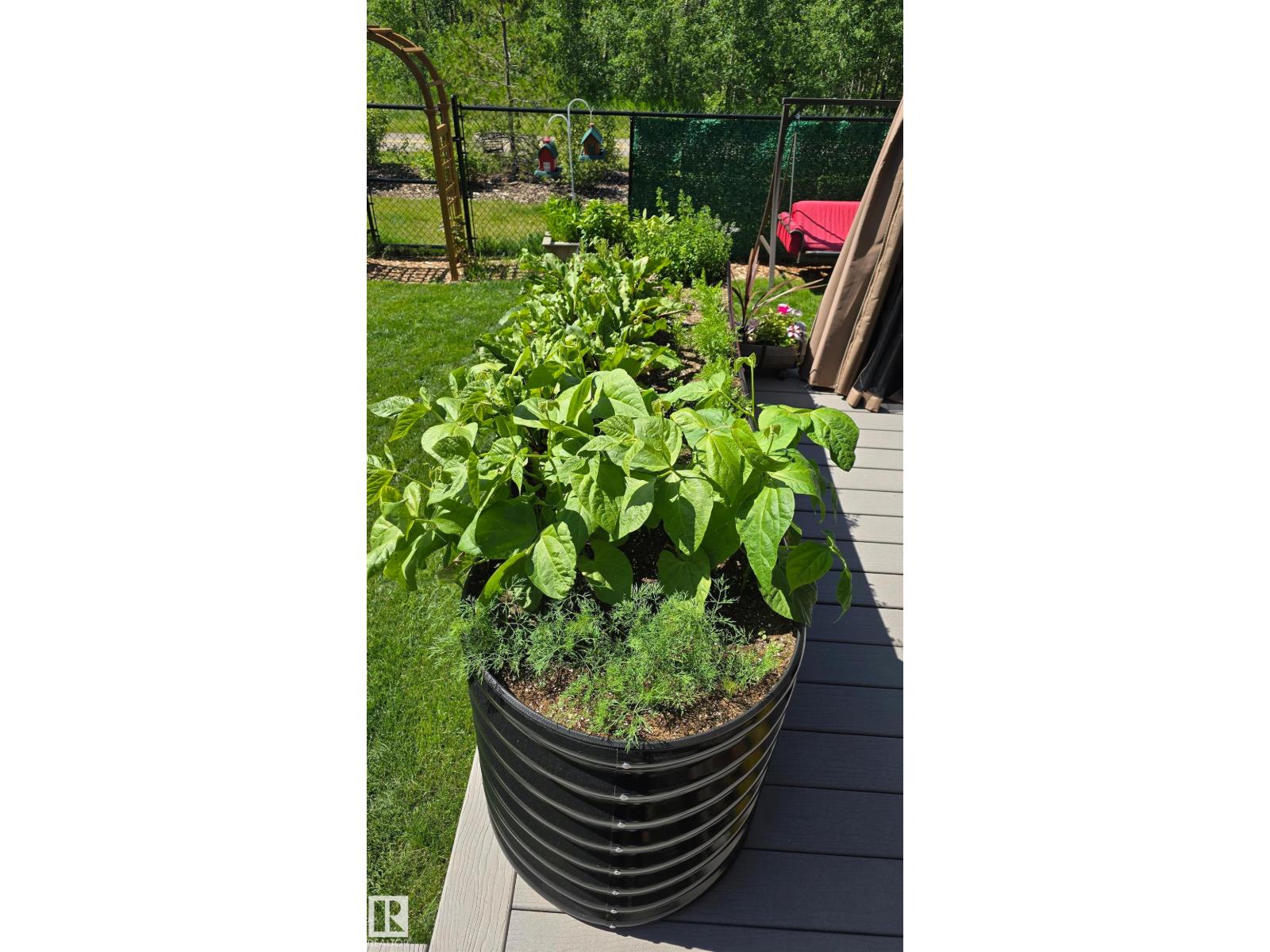 94 Horton Wy, Ardrossan, Alberta  T8E 0B2 - Photo 45 - E4474955