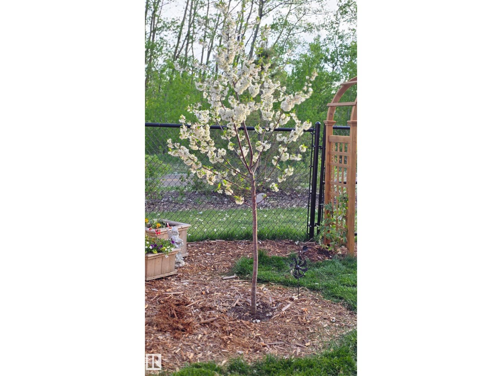 94 Horton Wy, Ardrossan, Alberta  T8E 0B2 - Photo 46 - E4474955