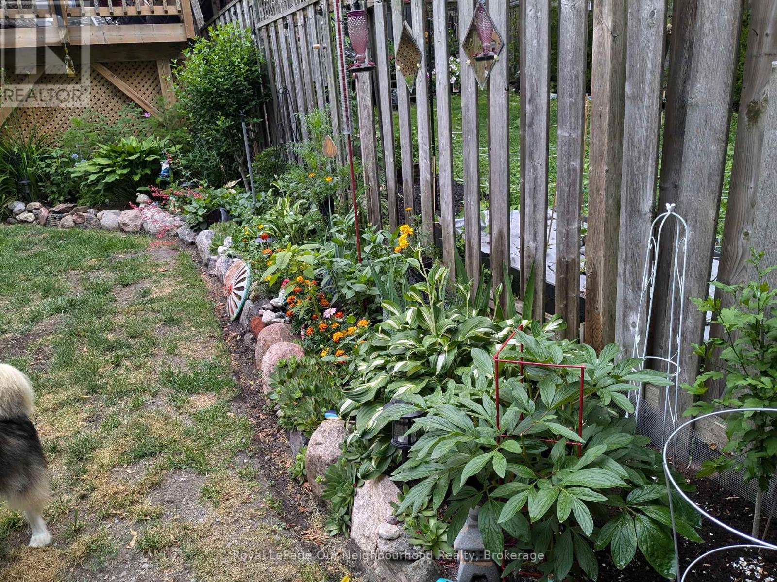 37 Elgin Street E, Oshawa, Ontario  L1G 1S9 - Photo 49 - E12820160