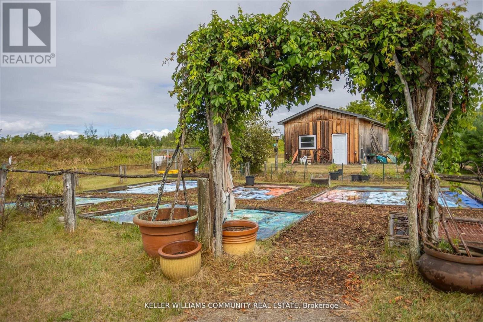 372 County Road 41 Road, Kawartha Lakes (Bexley), Ontario  K0M 2B0 - Photo 39 - X12823654