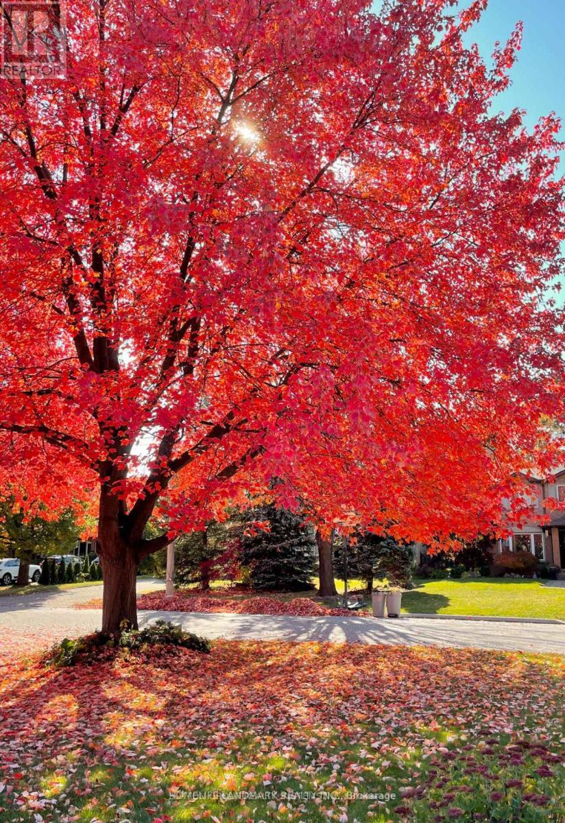 Room 1 Basement - 3377 Cider Mill Place, Mississauga, Ontario  L5L 3H6 - Photo 12 - W12823910