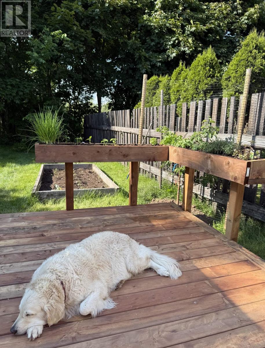 411 Robie Street, Truro, Nova Scotia  B2N 1M1 - Photo 40 - 202528640