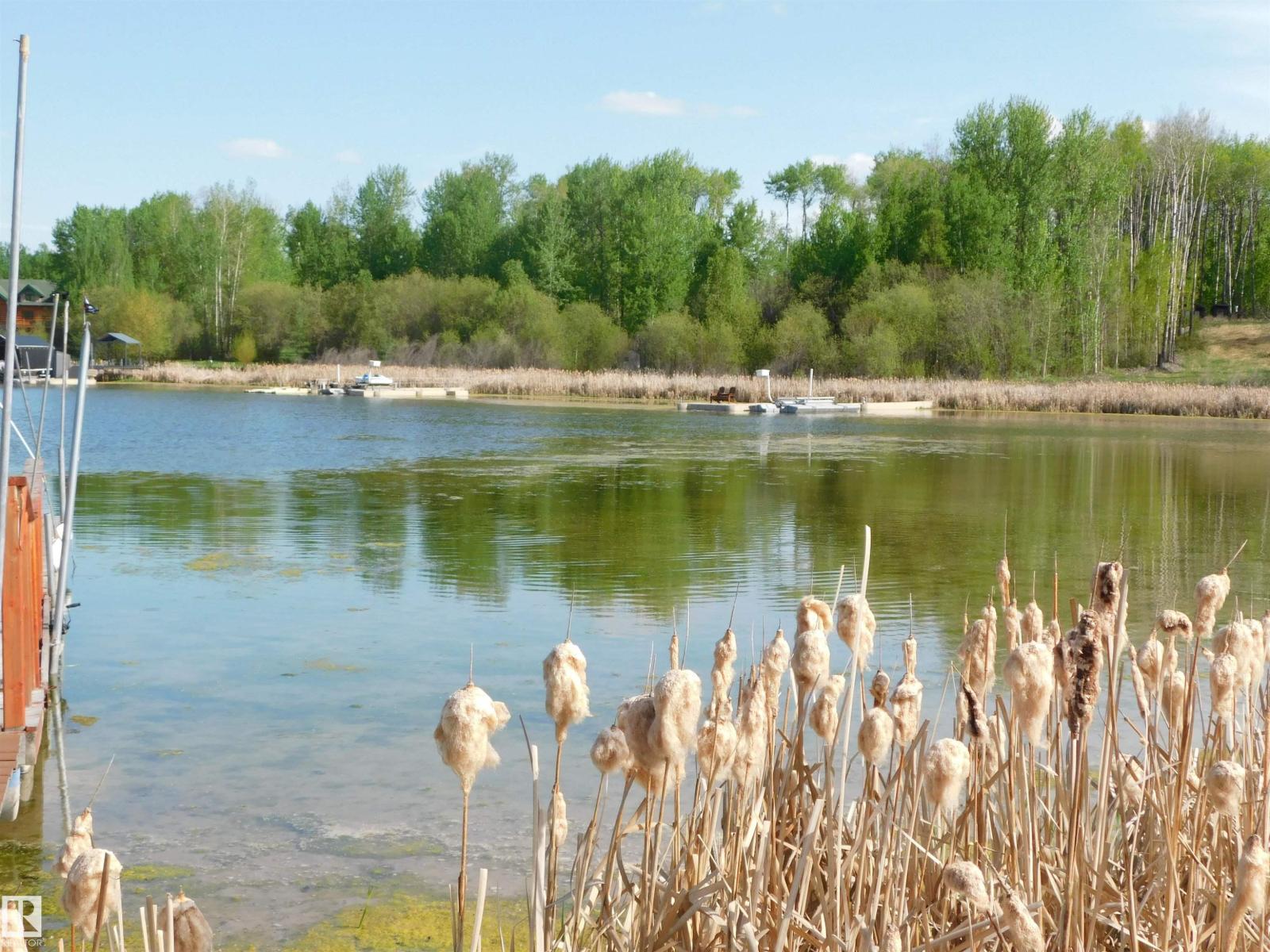 52123 Rge Road 25, Rural Parkland County, Alberta  T0E 0H0 - Photo 8 - E4471211