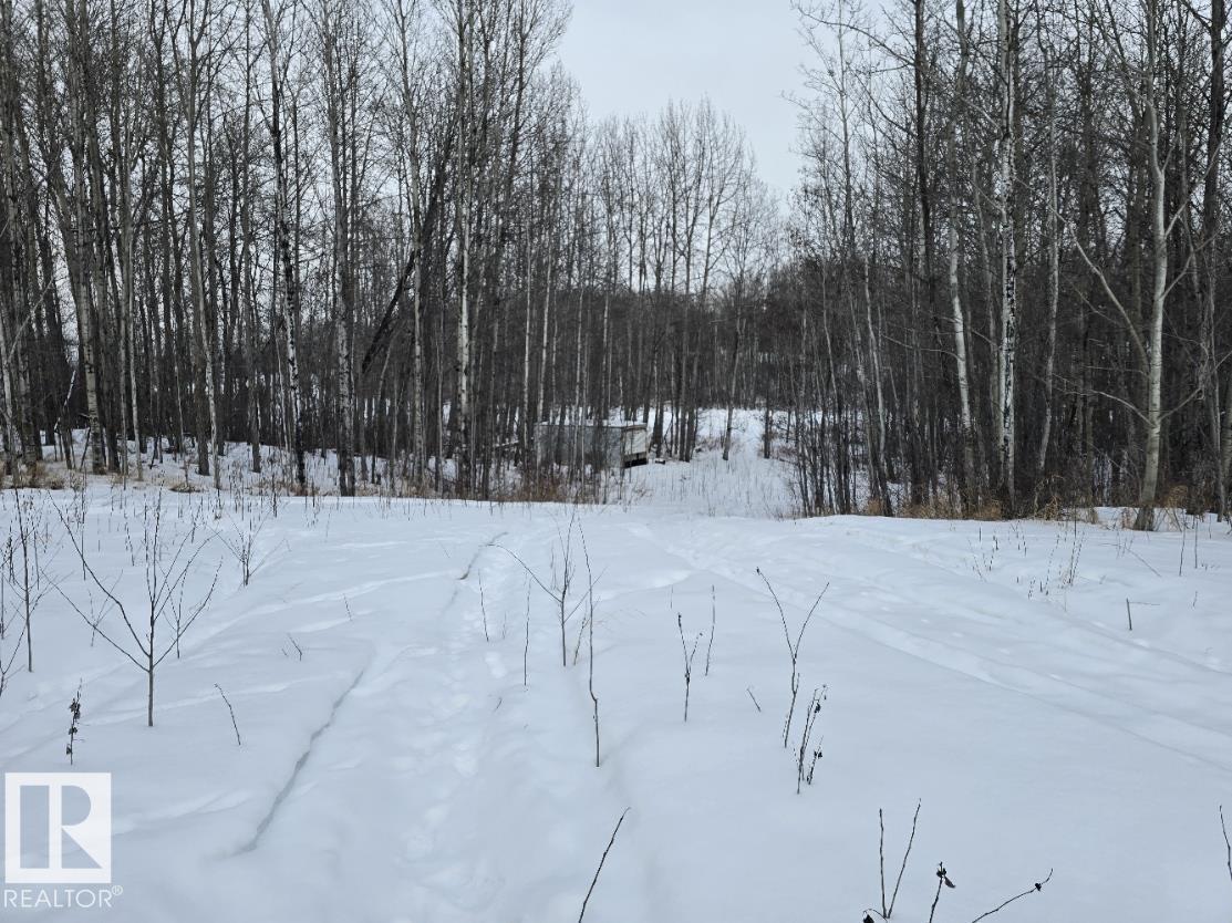 52123 Rge Road 25, Rural Parkland County, Alberta  T0E 0H0 - Photo 4 - E4471211