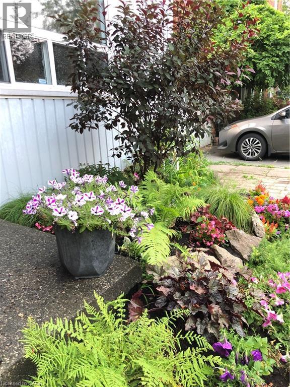 22 Liberty Street, Hamilton, Ontario  L8N 2N6 - Photo 41 - 40807579