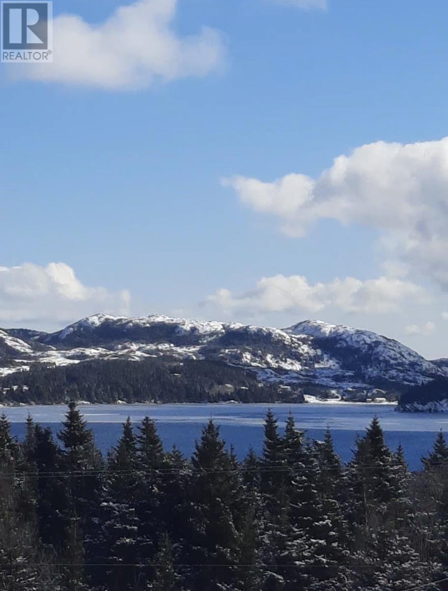 436 Main Road, Great Salmonier, Newfoundland & Labrador  A0E 1N0 - Photo 8 - 1294824