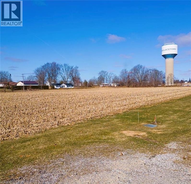 Parts 3 And 8, Lots 5/6 Lunn Lane, Wallacetown, Ontario  N0L 2M0 - Photo 5 - 40807820