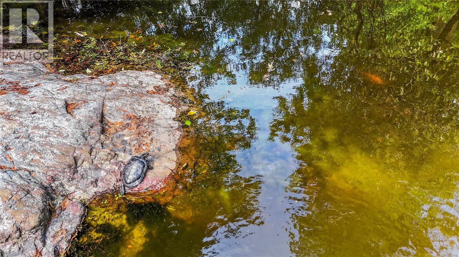 936 Walfred Rd, Langford, British Columbia  V9C 2P4 - Photo 30 - 1027084