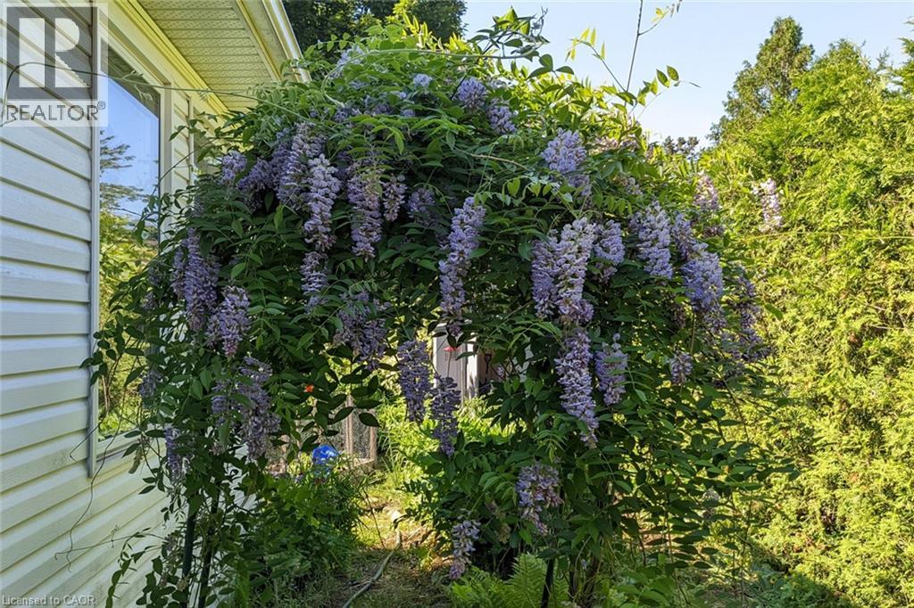 30 Hunter Street, Dundas, Ontario  L9H 1E6 - Photo 32 - 40808056