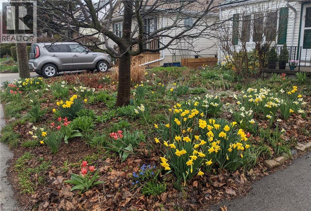 30 Hunter Street, Dundas, Ontario  L9H 1E6 - Photo 7 - 40808056