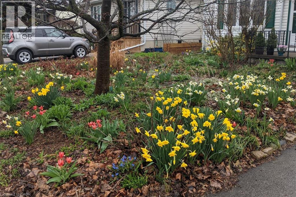 30 Hunter Street, Dundas, Ontario  L9H 1E6 - Photo 8 - 40808056