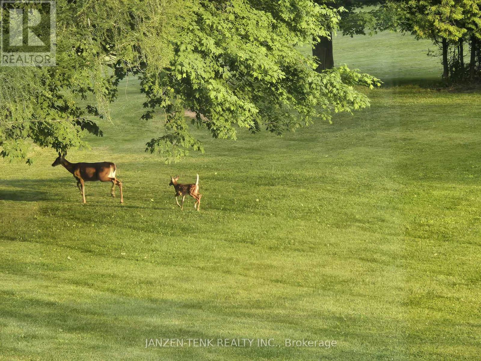 9432 Richmond Road, Bayham, Ontario  N5H 2R1 - Photo 44 - X12824292