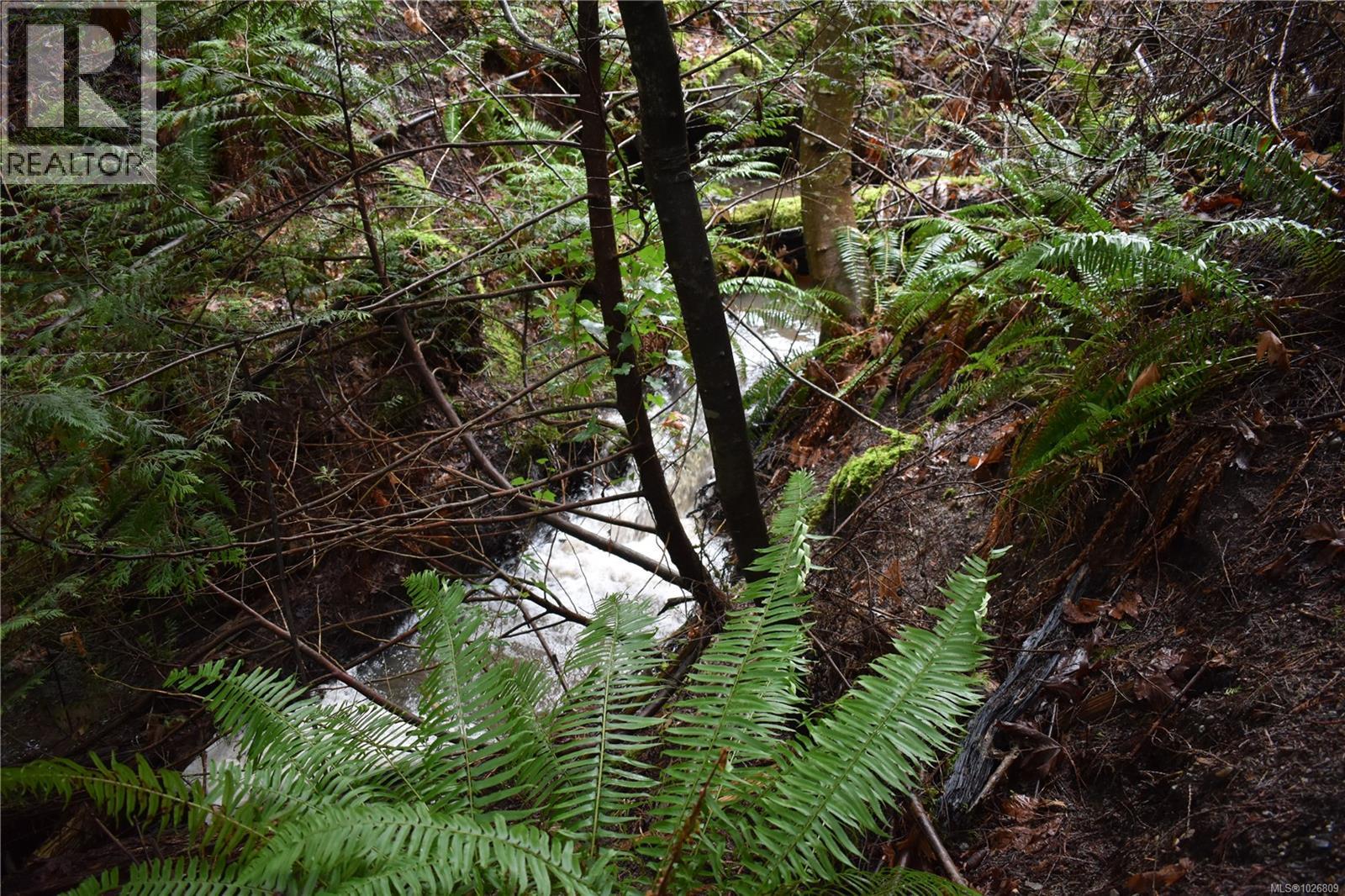 201 Grantville St, Salt Spring, British Columbia  V8K 1P1 - Photo 12 - 1026809