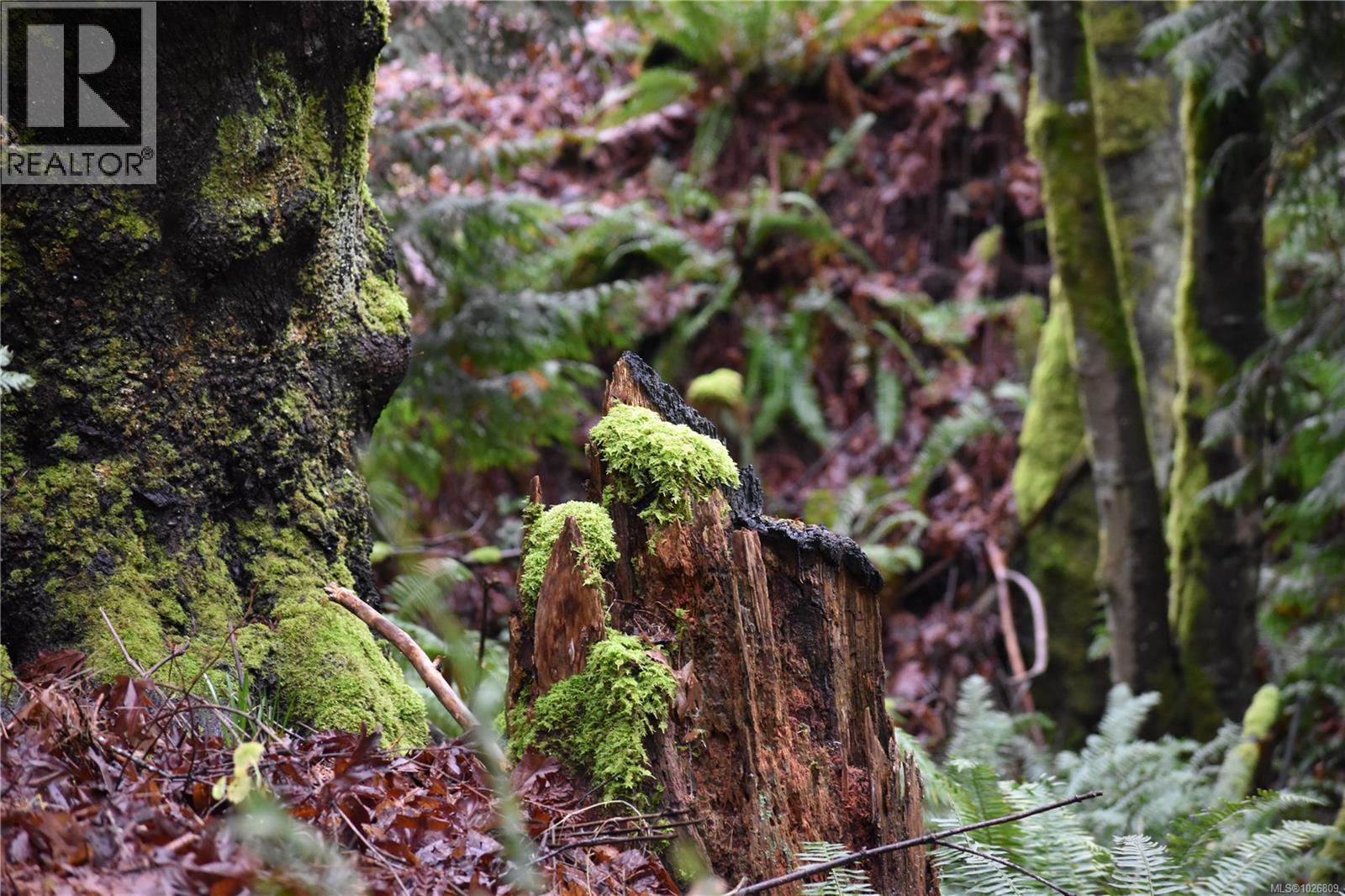 201 Grantville St, Salt Spring, British Columbia  V8K 1P1 - Photo 14 - 1026809