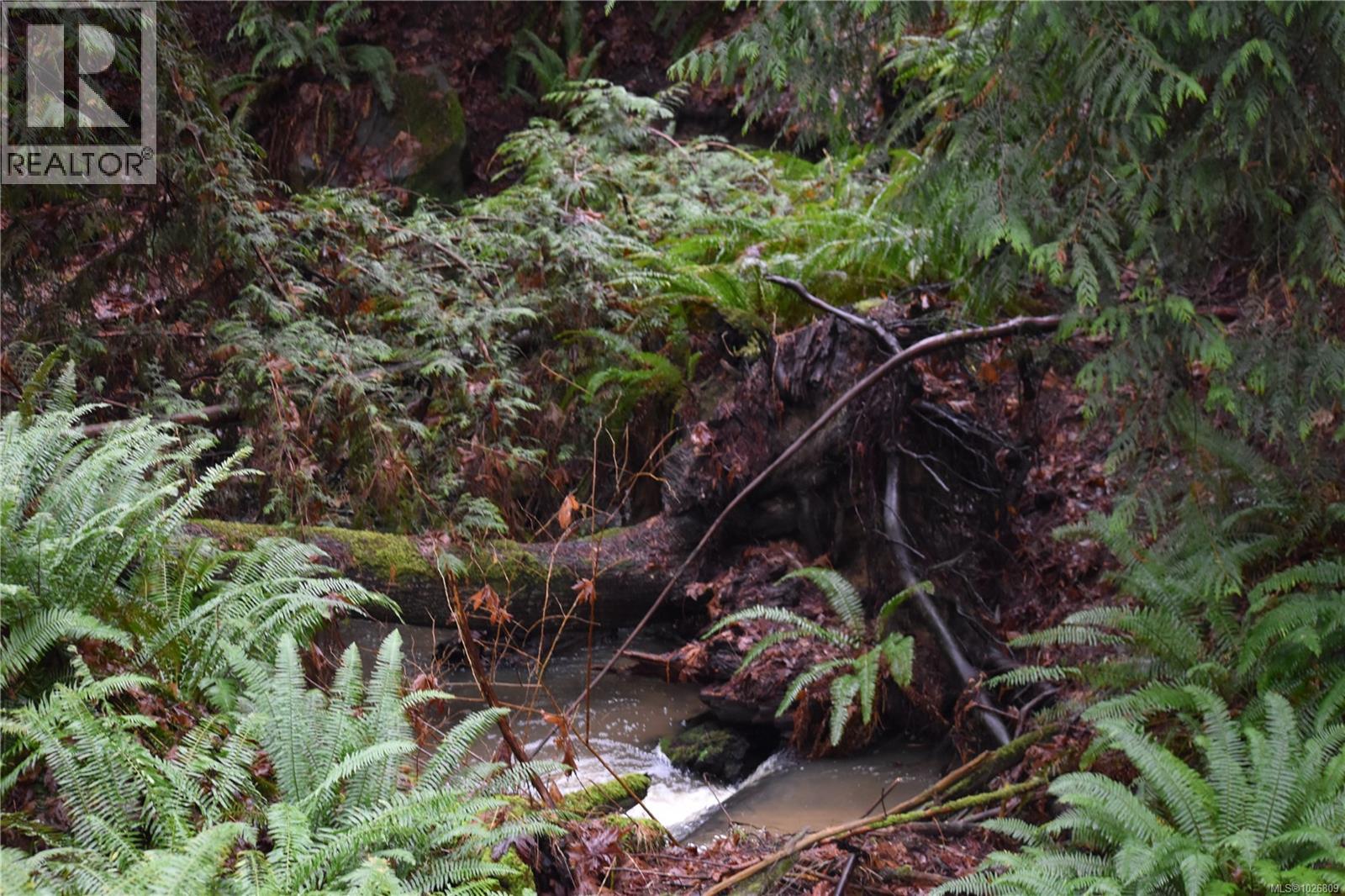 201 Grantville St, Salt Spring, British Columbia  V8K 1P1 - Photo 15 - 1026809