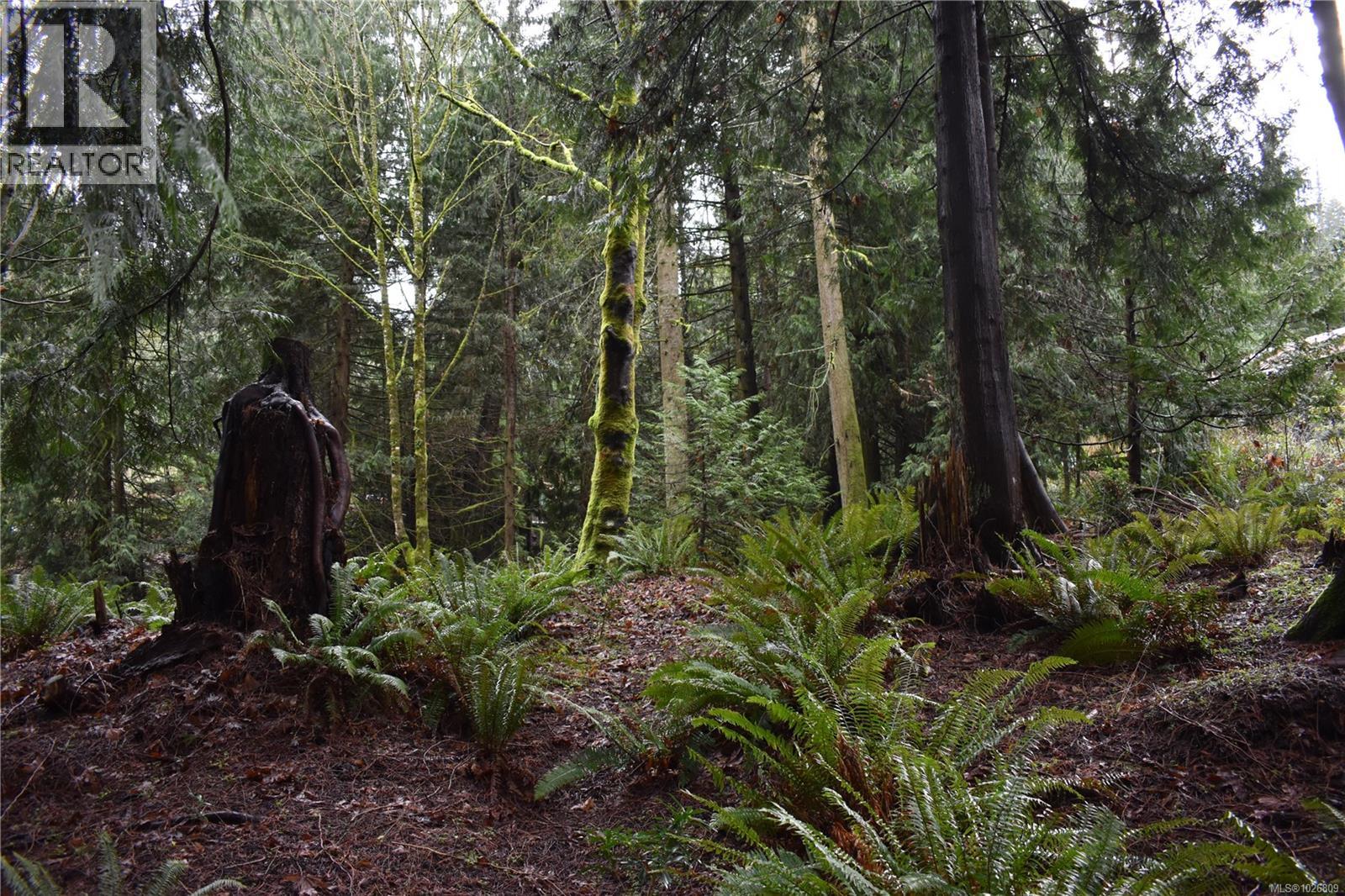 201 Grantville St, Salt Spring, British Columbia  V8K 1P1 - Photo 22 - 1026809