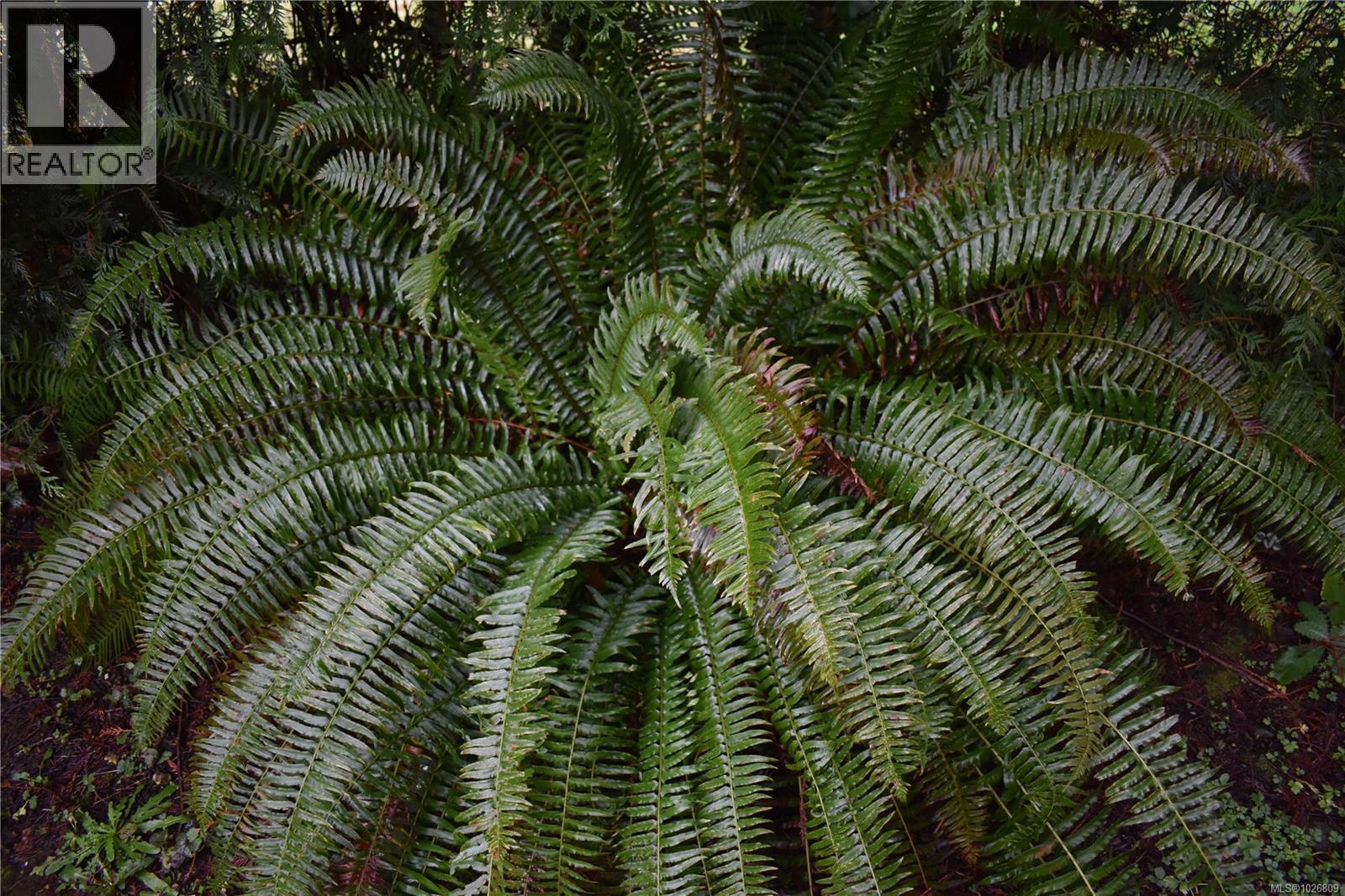 201 Grantville St, Salt Spring, British Columbia  V8K 1P1 - Photo 28 - 1026809