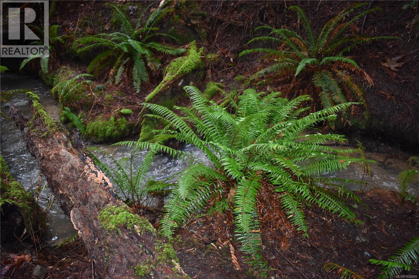 201 Grantville St, Salt Spring, British Columbia  V8K 1P1 - Photo 4 - 1026809