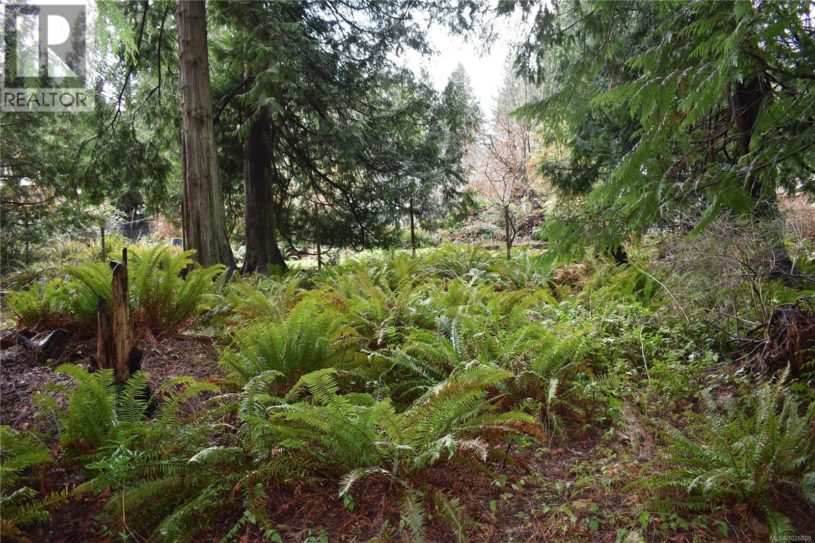 201 Grantville St, Salt Spring, British Columbia  V8K 1P1 - Photo 6 - 1026809