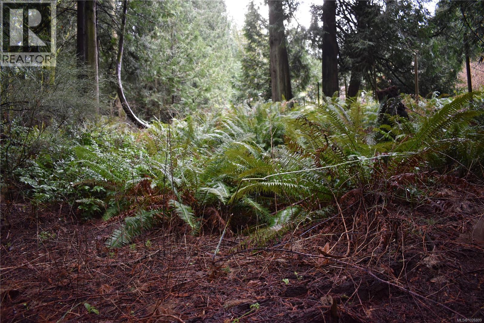 201 Grantville St, Salt Spring, British Columbia  V8K 1P1 - Photo 7 - 1026809