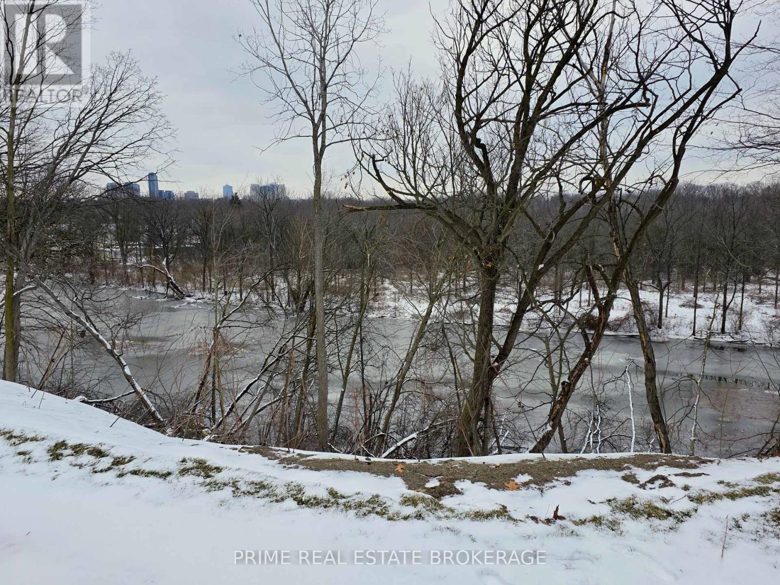 246 Greenwood Avenue, London South, Ontario  N6J 3G4 - Photo 19 - X12703186