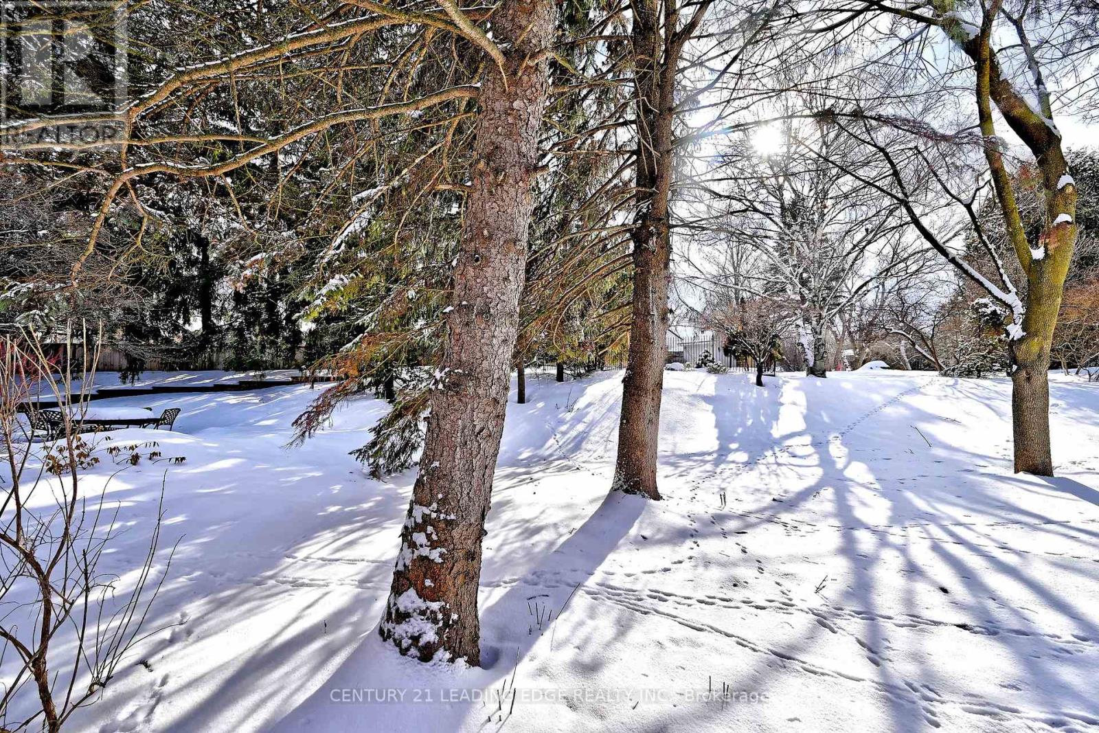 23 Hare Court, Markham, Ontario  L3P 4K5 - Photo 44 - N12824212