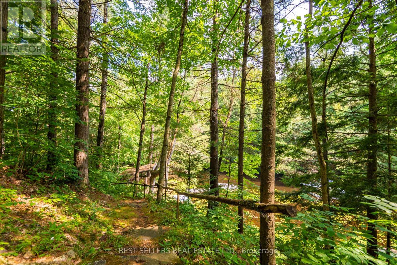 1622 Houseys Rapids Road, Gravenhurst, Ontario  P1P 1R3 - Photo 28 - X12824326