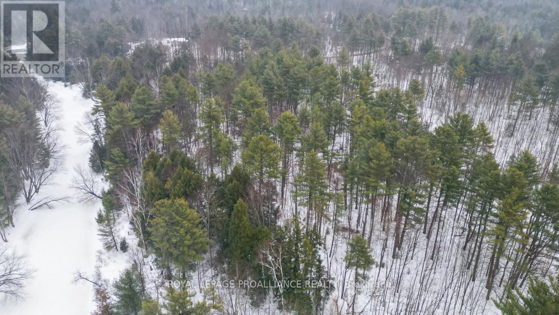 8 Clarke Line Road, Addington Highlands (Addington Highlands), Ontario  K0H 1P0 - Photo 15 - X12824496