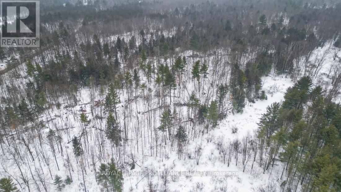 8 Clarke Line Road, Addington Highlands (Addington Highlands), Ontario  K0H 1P0 - Photo 8 - X12824496